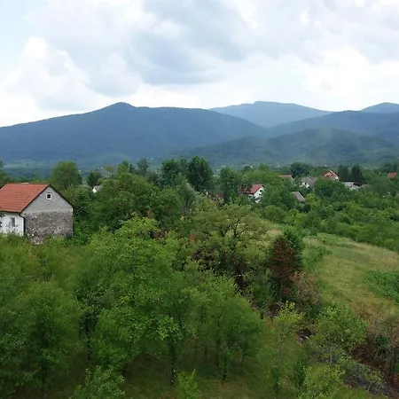 Zavalje Loza
